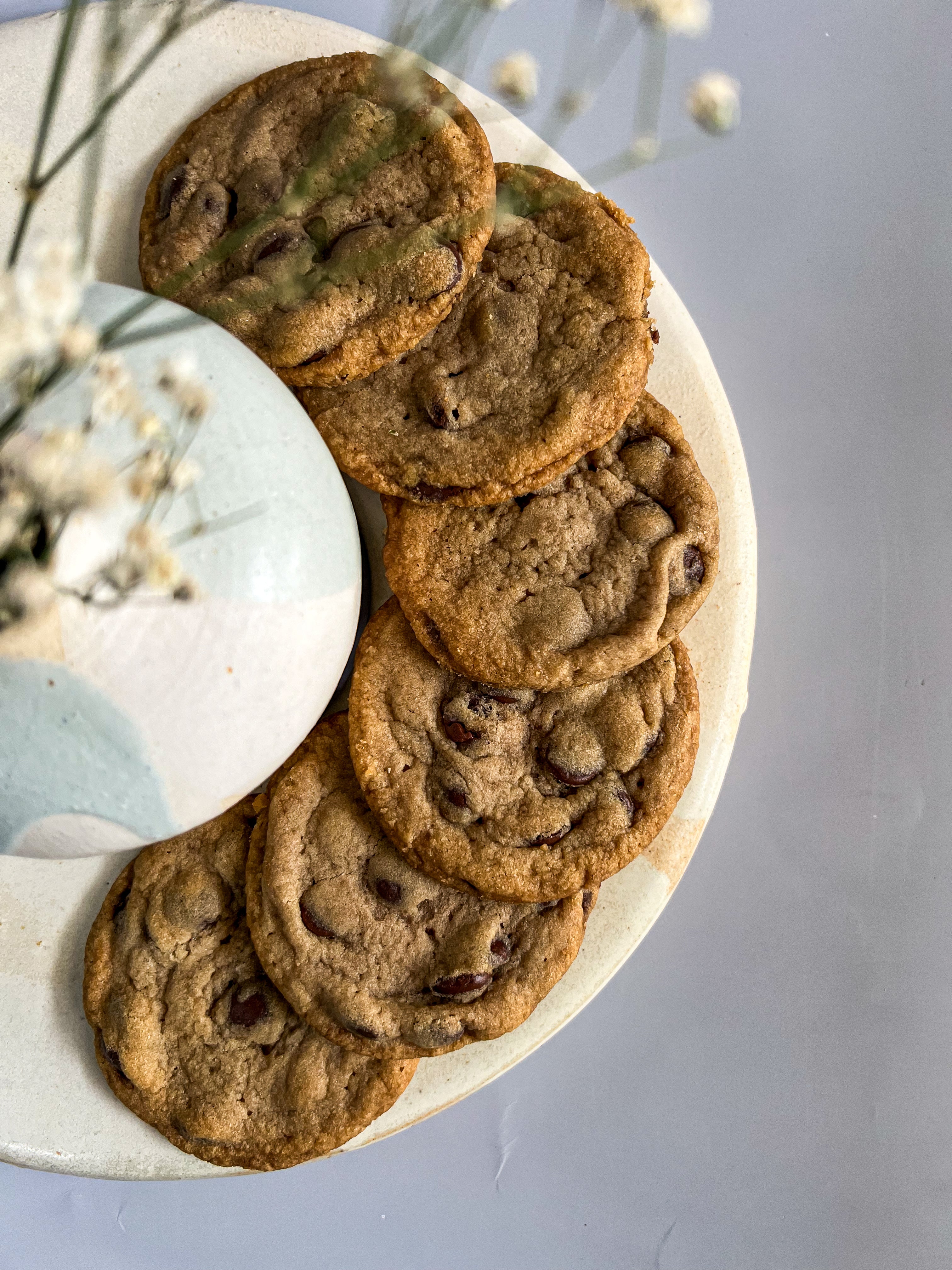  Chocolate ChipCookies on a white plate with a light gray background 