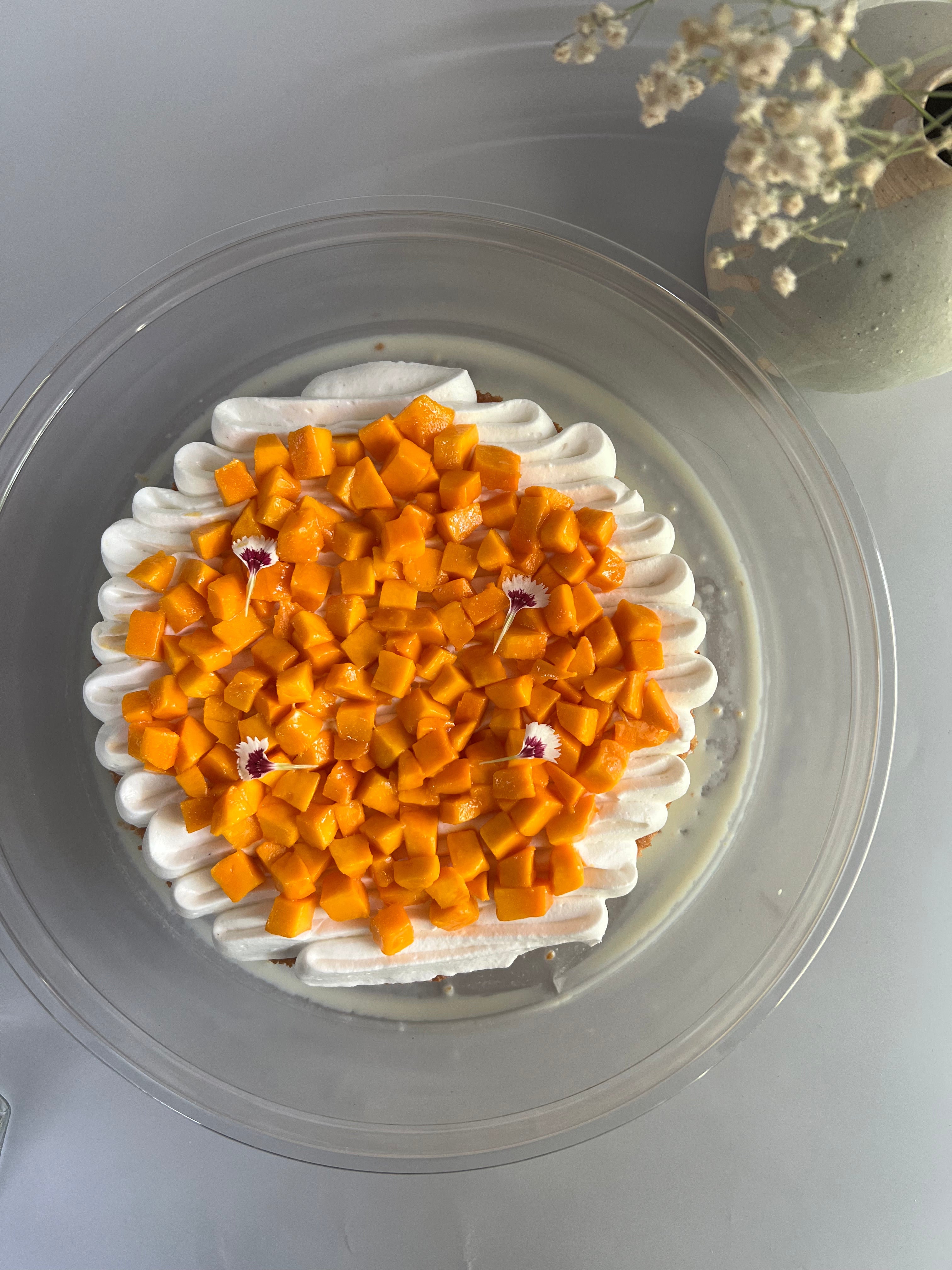 A round Tres Leches topped with piped white frosting and diced orange mango pieces, presented in a clear plastic container on a light gray surface with dried flowers in the background.