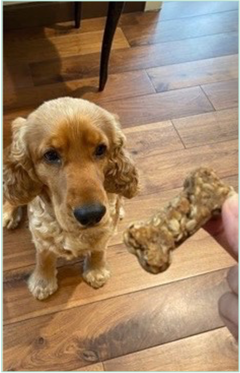 Woof Woof Dog Cookies